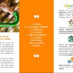 -6010592085922658025_121